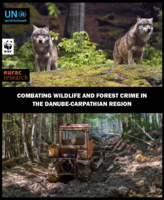 Combating Wildlife and Forest Crime in the Danube-Carpathian Region