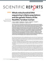 Whole mitochondrial DNA sequencing in Alpine populations and the genetic history of the Neolithic Tyrolean Iceman