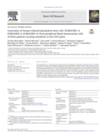 Generation of human induced pluripotent stem cells (EURACi001-A, EURACi002-A, EURACi003-A) from peripheral blood mononuclear cells of three patients carrying mutations in the CAV3 gene