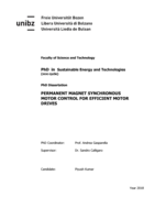 Permanent magnet synchronous motor control for efficient motor drives