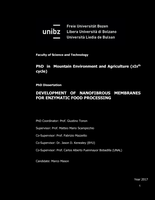 Development of nanofibrous membranes for enzymatic food processing