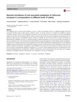 Bacterial microbiome of root-associated endophytes of Salicornia europaea in correspondence to different levels of salinity