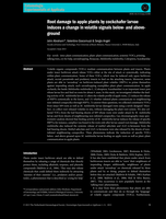 Root damage of apple plants by cockchafer larvae induces a change in volatile signals below- and above-ground