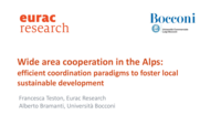 Wide area cooperation in the Alps: efficient coordination paradigms to foster local sustainable development