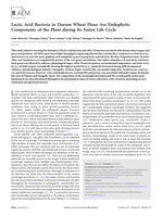 Lactic acid bacteria in durum wheat flour are endophytic components of the plant during its entire life cycle
