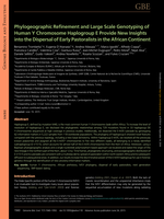 Phylogeographic Refinement and Large Scale Genotyping of Human Y Chromosome Haplogroup E Provide New Insights into the Dispersal of Early Pastoralists in the African Continent