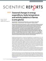 Seasonal changes in energy expenditure, body temperature and activity patterns in llamas (Lama glama)