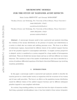Microscopic models for the study of taxpayer audit effects