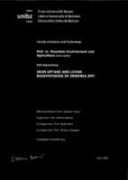 Iron uptake and levan biosynthesis in Erwinia spp.