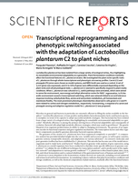 Transcriptional reprogramming and phenotypic switching associated with the adaptation of Lactobacillus plantarum C2 to plant niches