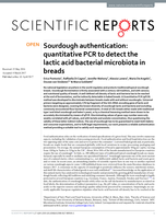 Sourdough authentication: quantitative PCR to detect the lactic acid bacterial microbiota in breads