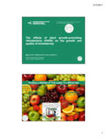 Effect of plant growth-promoting rhizobacteria on the growth and quality of strawberry (Fragaria ananassa)