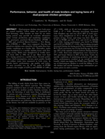 Performance, behavior, and health of male broilers and laying hens of 2 dual-purpose chicken genotypes