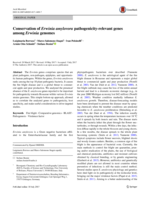 Conservation of Erwinia amylovora pathogenicity-relevant genes among Erwinia genomes