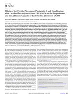 Effects of the Peptide Pheromone Plantaricin A and Cocultivation with Lactobacillus sanfranciscensis DPPMA174 on the Exoproteome and the Adhesion Capacity of Lactobacillus plantarum DC400