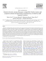 Genetic diversity among Elaeagnus compatible Frankia strains and sympatric related nitrogen fixing actinobacteria revealed by nifH sequence analysis