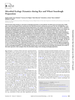 Microbial Ecology Dynamics during Rye and Wheat Sourdough Preparation
