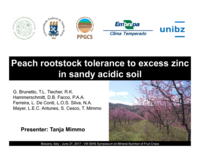 Peach rootstock tolerance to excess zinc in sandy acidic soil