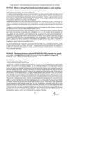 Effects of Azospirillum brasilense on nitrate uptake in maize seedlings