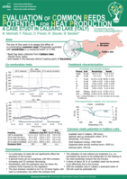 Evaluation of Common Reeds Potential for Heat Production: a Case Study in Caldaro Lake (Italy)