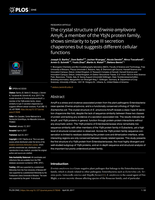 The crystal structure of Erwinia amylovora AmyR, a member of the YbjN protein family, shows similarity to type III secretion chaperones but suggests different cellular functions