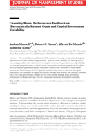 Causality rules: Performance feedback on hierarchically related goals and capital investment variability