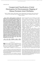Unsupervised Classification of Atrial Electrograms for Electroanatomic Mapping of Human Persistent Atrial Fibrillation