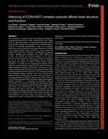 Silencing of CCR4-NOT complex subunits affects heart structure and function