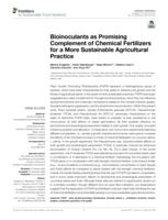 Bioinoculants as Promising Complement of Chemical Fertilizers for a More Sustainable Agricultural Practice