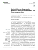 Editorial: Protein Degradation Pathways in Parkinson's Disease and Neurodegeneration