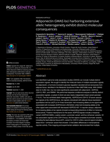Adiponectin GWAS loci harboring extensive allelic heterogeneity exhibit distinct molecular consequences