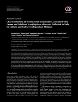 Characterization of the Bacterial Community Associated with Larvae and Adults of Anoplophora chinensis Collected in Italy by Culture and Culture-Independent Methods