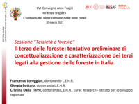 Il terzo delle foreste: tentativo preliminare di concettualizzazione e caratterizzazione dei terzi legati alla gestione delle foreste in Italia