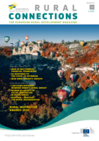 Women as agents of social innovation in rural areas
