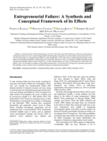Entrepreneurial Failure: A Synthesis and Conceptual Framework of its Effects