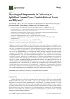 Physiological Responses to Fe Deficiency in Split-Root Tomato Plants: Possible Roles of Auxin and Ethylene?