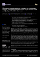 Urea-doped calcium phosphate nanoparticles as sustainable nitrogen nanofertilizers for viticulture: Implications on yield and quality of pinot gris grapevines