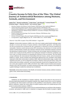 Country Income Is Only One of the Tiles: The Global Journey of Antimicrobial Resistance among Humans, Animals, and Environment