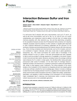 Interaction Between Sulfur and Iron in Plants