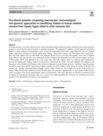 The elusive parasite: comparing macroscopic, immunological, and genomic approaches to identifying malaria in human skeletal remains from Sayala, Egypt (third to sixth centuries AD)