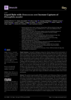 Liquid baits with Oenococcus oeni increase captures of Drosophila suzukii