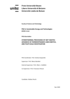 Hydrothermal processing of wet wastes: advances in thermodynamics and kinetics, and pilot-scale investigation