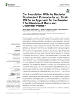 Can Inoculation With the Bacterial Biostimulant Enterobacter sp. Strain 15S Be an Approach for the Smarter P Fertilization of Maize and Cucumber Plants?