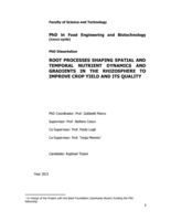 Root processes shaping spatial and temporal nutrient dynamics and gradients in the rhizosphere to improve crop yield and its quality