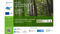 EUSALP Forest Activities: at a Glance