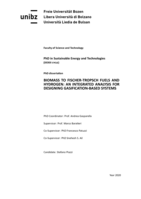 Biomass to Fischer-Tropsch fuels and hydrogen: an integrated analysis for designing gasification-based systems