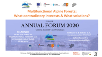 Relaunch of the “Task Force on Multifunctional Forestry and Sustainable use of Timber”