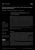 Circular Economy at the Firm Level: A New Tool for Assessing Maturity and Circularity