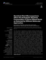 Beneficial Plant Microorganisms Affect the Endophytic Bacterial Communities of Durum Wheat Roots as Detected by Different Molecular Approaches