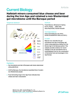 Hallstatt miners consumed blue cheese and beer during the Iron Age and retained a non-Westernized gut microbiome until the Baroque period